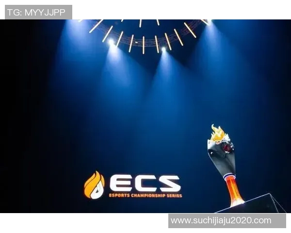 CSGO耐力排名TES创下历史新高引发电竞圈热议